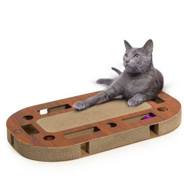 Canadian Cat Company PlayPlate Kratzpappe Test